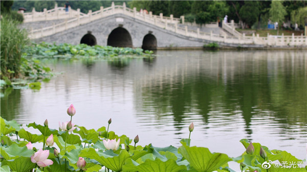 【圖說淮南】——雨后清新的龍湖公園