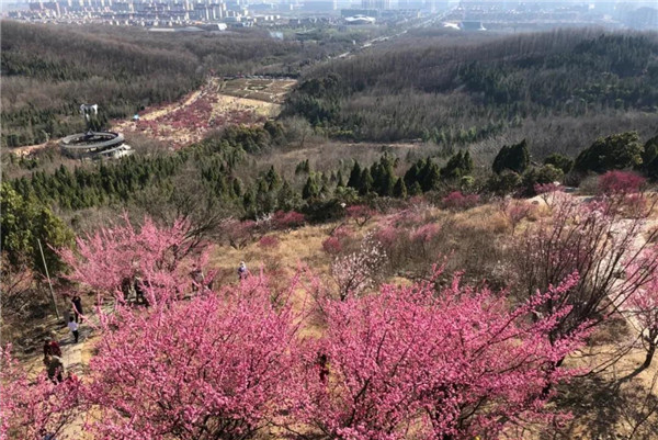 盤點淮南非遺之民間文學篇一：舜耕山傳奇