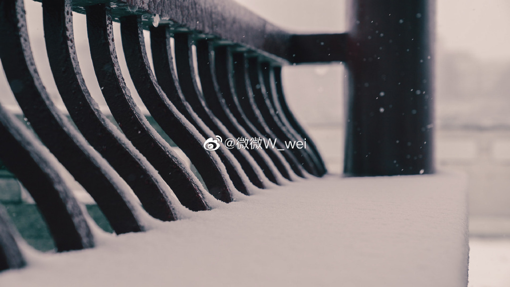 【圖說淮南】——太棒了！淮南龍湖公園的雪景你看過嗎！